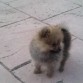 Jugando en el patio (4 meses)